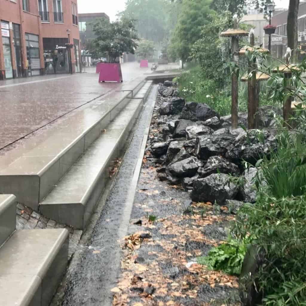 Voorbeeld van waterberging