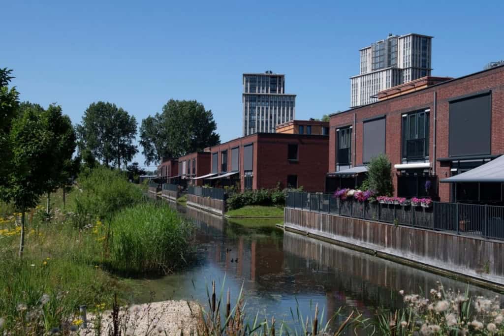 Watergang met natuurvriendelijke oever en beplanting langs woningen in Maassluis.